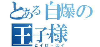 とある自爆の王子様（ヒイロ・ユイ）