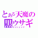 とある天魔の黒ウサギ（サイトヒメア）