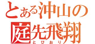 とある沖山の庭先飛翔（とびおり）