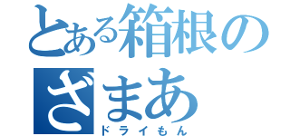 とある箱根のざまあ（ドライもん）