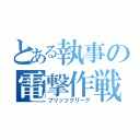 とある執事の電撃作戦（ブリッツクリーグ）