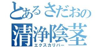 とあるさだおの清浄陰茎（エクスカリバー）