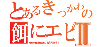 とあるきっかわ豚の餌にエビⅡ（喰うか喰われるかは、貴方次第です！）