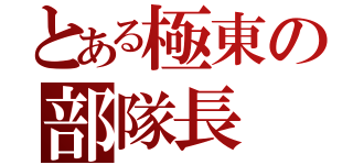 とある極東の部隊長（）