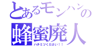 とあるモンハンの蜂蜜廃人（ハチミツください！！）