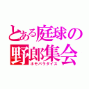 とある庭球の野郎集会（ホモパラダイス）