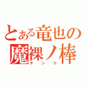 とある竜也の魔裸ノ棒（チンコ）