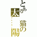 とある　猫の太　　陽（ブレイカー）