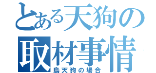 とある天狗の取材事情（烏天狗の場合）