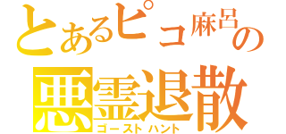 とあるピコ麻呂の悪霊退散（ゴーストハント）