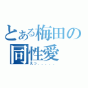 とある梅田の同性愛（えっ．．．．．）