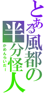 とある風都の半分怪人（かめんらいだー）