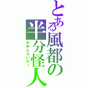 とある風都の半分怪人（かめんらいだー）