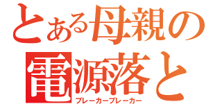 とある母親の電源落とし（ブレーカーブレーカー）