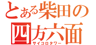 とある柴田の四方六面塔（サイコロタワー）