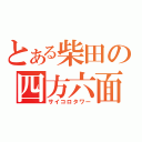 とある柴田の四方六面塔（サイコロタワー）