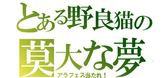 とある野良猫の莫大な夢（アラフェス当たれ！）