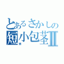 とあるさかしの短小包茎Ⅱ（悠）