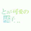 とある可愛の橘子（每 天 都呆）