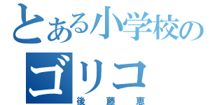 とある小学校のゴリコ（後藤恵）