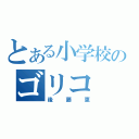 とある小学校のゴリコ（後藤恵）