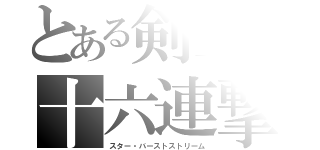 とある剣士の十六連撃（スター・バーストストリーム）