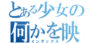 とある少女の何かを映す瞳（インデックス）