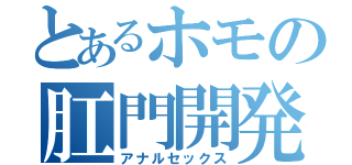 とあるホモの肛門開発（アナルセックス）