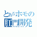 とあるホモの肛門開発（アナルセックス）