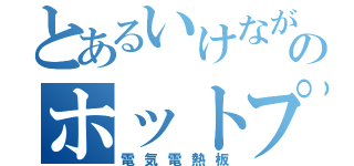 とあるいけながのホットプレート（電気電熱板）