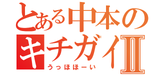 とある中本のキチガイ前線Ⅱ（うっほほーい）