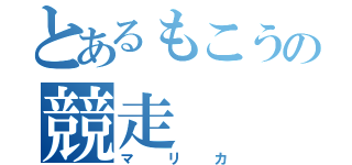 とあるもこうの競走（マリカ）