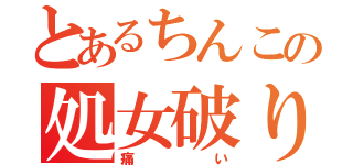 とあるちんこの処女破り（痛い）