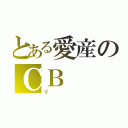 とある愛産のＣＢ（Ｖ）