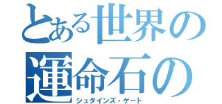 とある世界の運命石の扉（シュタインズ・ゲート）