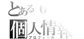 とある６−１の個人情報（プロフィール）