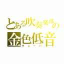 とある吹奏楽部の金色低音（チューバ）