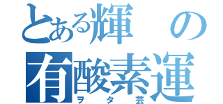 とある輝の有酸素運動（ヲタ芸）