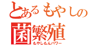 とあるもやしの菌繁殖（もやしもんパワー）