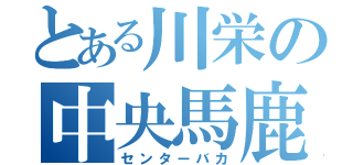 とある川栄の中央馬鹿（センターバカ）