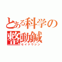 とある科学の整動鍼（セイドウシン）