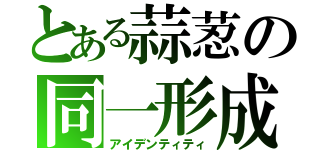 とある蒜荵の同一形成（アイデンティティ）