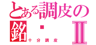 とある調皮の銘瑋Ⅱ（十分調皮）