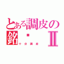 とある調皮の銘瑋Ⅱ（十分調皮）