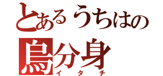 とあるうちはの烏分身（イタチ）