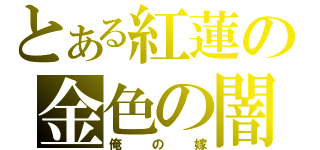 とある紅蓮の金色の闇（俺の嫁）