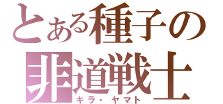 とある種子の非道戦士（キラ・ヤマト）