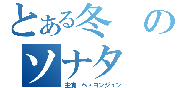 とある冬のソナタ（主演 ペ・ヨンジュン）