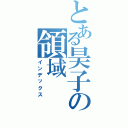 とある昊子の領域（インデックス）