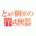 とある個室の洋式便器（ブラックホール）